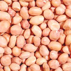 Manufacturers,Exporters,Suppliers of Ground Nuts
